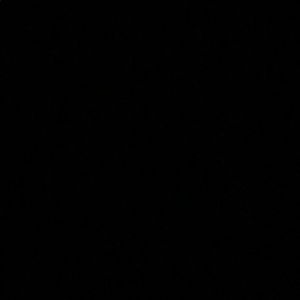 Meet your Posher, Hayden